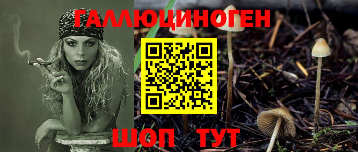 как найти   Вход с VPN  Галлюциногенные грибы MAGIC MUSHROOMS  Можга  Галлюциногенные грибы Magic Shrooms 